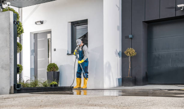 Best Paint Preparation  in Lindenhurst, IL